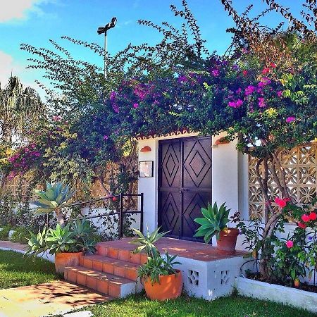 Beachfront Oasis In Costa Del Sol. Caleta De Velez Εξωτερικό φωτογραφία